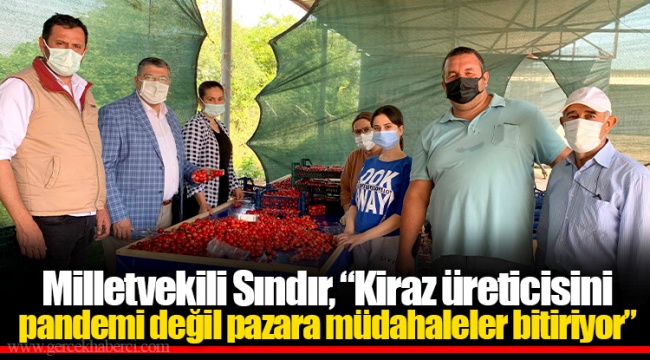 Milletvekili Sındır, “Kiraz üreticisini pandemi değil pazara müdahaleler bitiriyor”