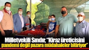 Milletvekili Sındır, “Kiraz üreticisini pandemi değil pazara müdahaleler bitiriyor”