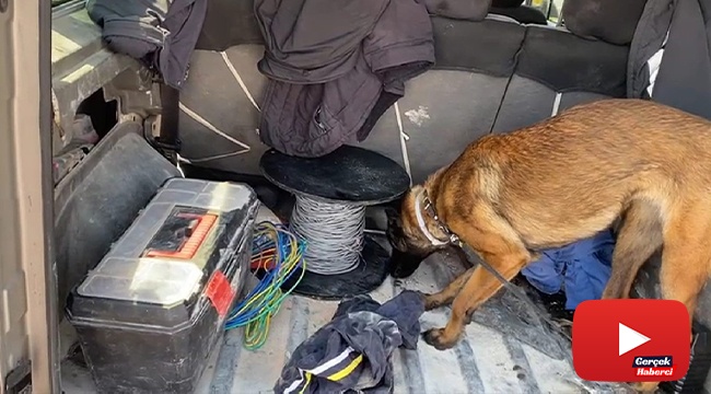 Narkotik Dedektör köpeği ‘MİA’dan zehir tacirlerine geçit yok