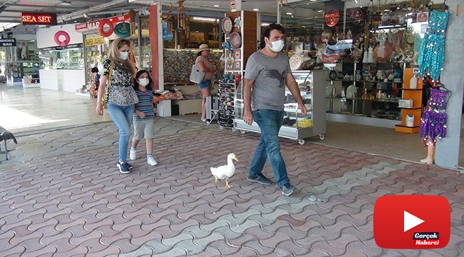 Ördekleriyle çarşı pazar geziyor, görenleri şaşkına çeviriyorlar
