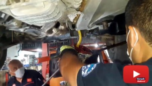 Otomobile giren 1 metrelik yılan itfaiye ekipleri tarafından çıkarıldı