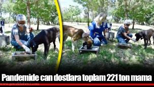 Pandemide can dostlara toplam 221 ton mama