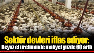 Sektör devleri iflas ediyor: Beyaz et üretiminde maliyet yüzde 60 arttı