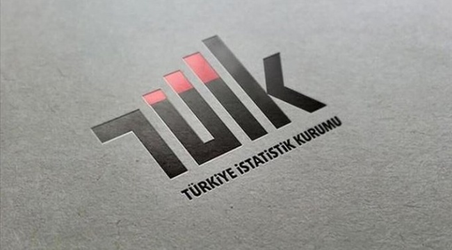 TÜİK, akademisyenleri neden şikayet ettiğini açıkladı!