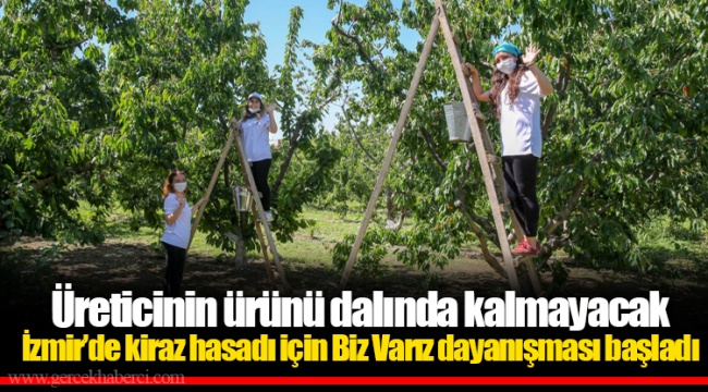 Üreticinin ürünü dalında kalmayacak