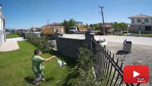 Üşengeçliği fenomen yaptı
