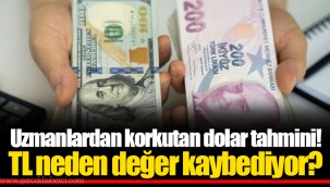 Uzmanlardan korkutan dolar tahmini! TL neden değer kaybediyor?