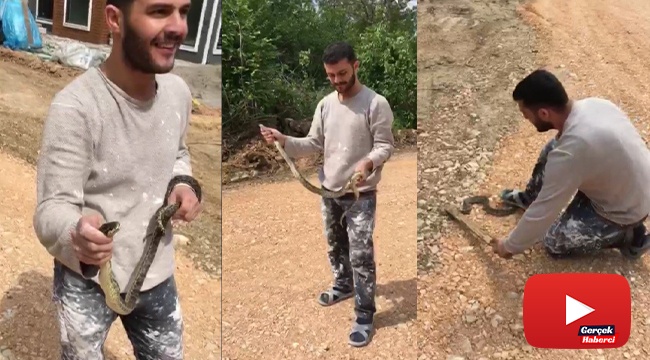 Yolda bulduğu yılanla oyuncak gibi oynadı