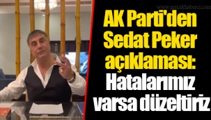 AK Parti'den Sedat Peker açıklaması: Hatalarımız varsa düzeltiriz