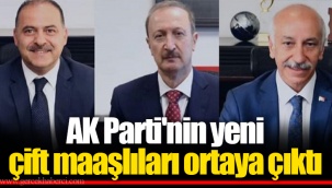 AK Parti'nin yeni çift maaşlıları ortaya çıktı