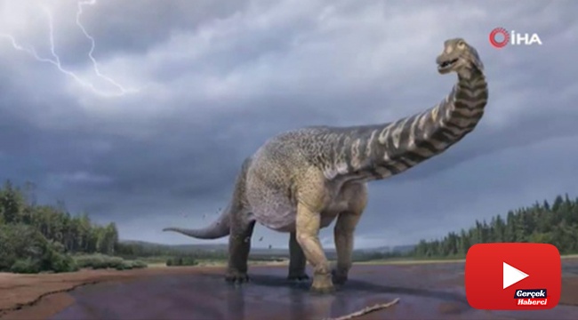 Avustralya’da kıtanın en büyük dinozoru keşfedildi