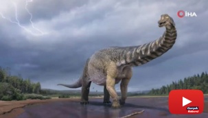 Avustralya’da kıtanın en büyük dinozoru keşfedildi