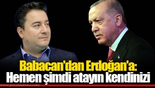 Babacan'dan Erdoğan'a: Hemen şimdi atayın kendinizi