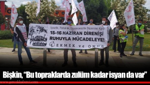 Bişkin,