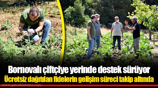 Bornovalı çiftçiye yerinde destek sürüyor