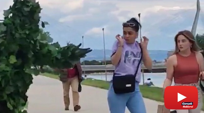 Bursa&#039;da ağaçtan adam hem güldürdü, hem korkuttu