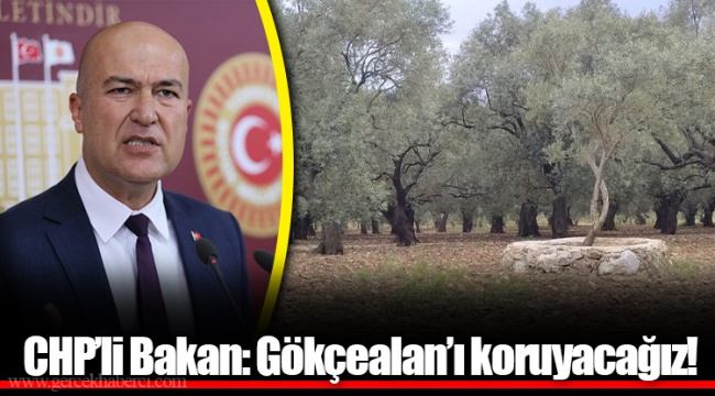 CHP’li Bakan: Gökçealan’ı koruyacağız!