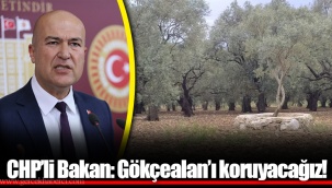 CHP’li Bakan: Gökçealan’ı koruyacağız!