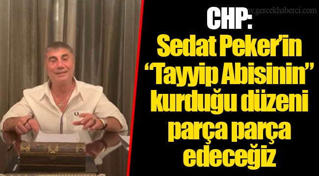 CHP: Sedat Peker’in “Tayyip Abisinin” kurduğu düzeni parça parça edeceğiz