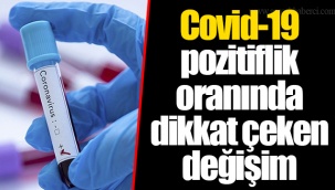 Covid-19 pozitiflik oranında dikkat çeken değişim