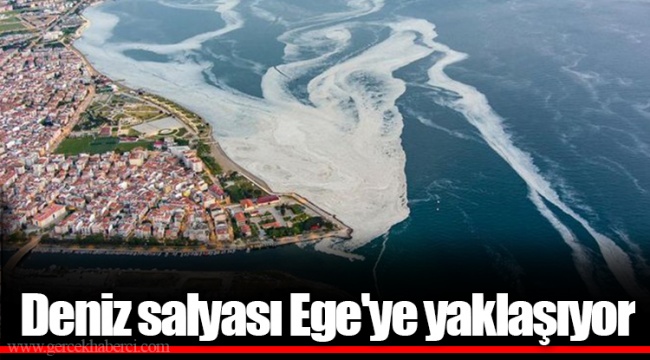 Deniz salyası Ege'ye yaklaşıyor