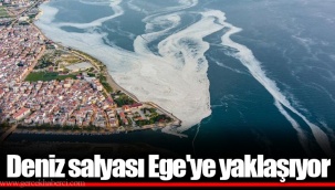 Deniz salyası Ege'ye yaklaşıyor