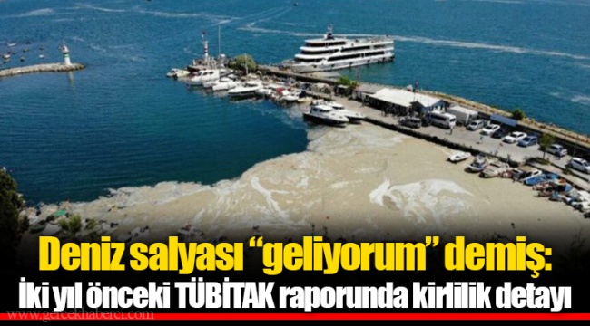 Deniz salyası “geliyorum” demiş: İki yıl önceki TÜBİTAK raporunda kirlilik detayı