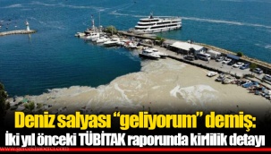 Deniz salyası “geliyorum” demiş: İki yıl önceki TÜBİTAK raporunda kirlilik detayı