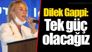 Dilek Gappi: Tek güç olacağız