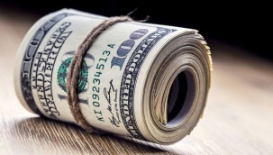 Dolar/TL 8.70'i gördü