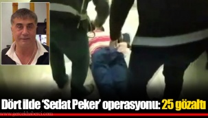 Dört ilde ‘Sedat Peker’ operasyonu: 25 gözaltı