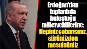 Erdoğan’dan toplantıda buluştuğu milletvekillerine: Hepiniz çobansınız, sürünüzden mesulsünüz