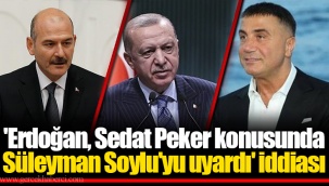 'Erdoğan, Sedat Peker konusunda Süleyman Soylu'yu uyardı' iddiası