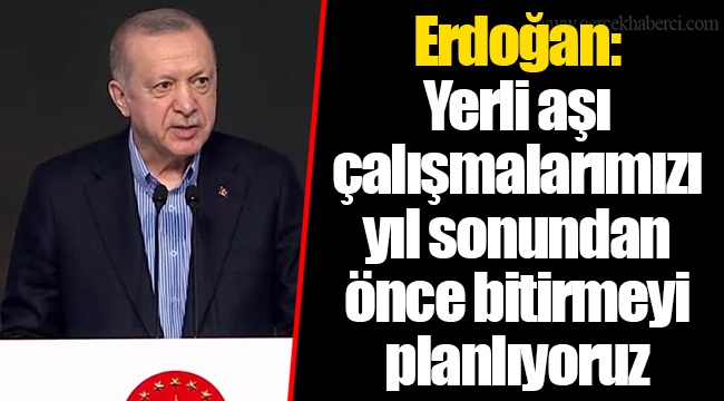 Erdoğan: Yerli aşı çalışmalarımızı yıl sonundan önce bitirmeyi planlıyoruz