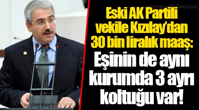 Eski AKP’li vekile Kızılay’dan 30 bin liralık maaş: Eşinin de aynı kurumda 3 ayrı koltuğu var!