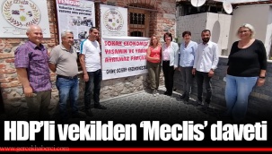 HDP’li vekilden ‘Meclis’ daveti