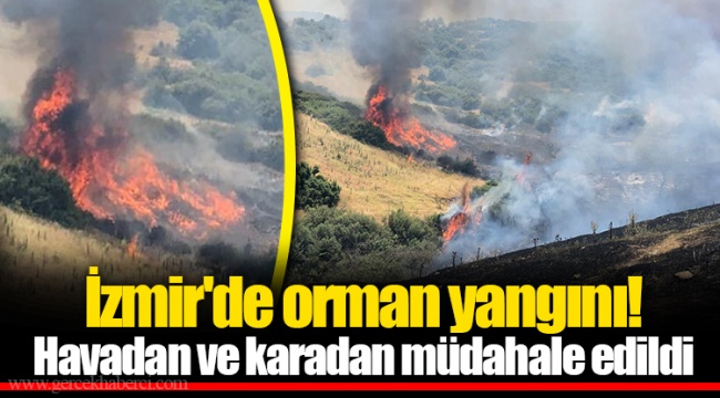 İzmir'de orman yangını! Havadan ve karadan müdahale edildi