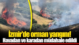 İzmir'de orman yangını! Havadan ve karadan müdahale edildi