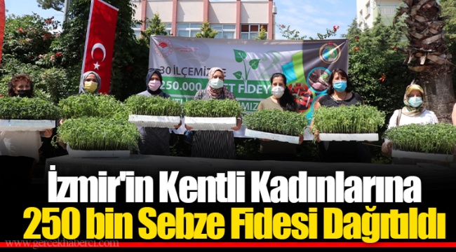 İzmir'in Kentli Kadınlarına 250 bin Sebze Fidesi Dağıtıldı