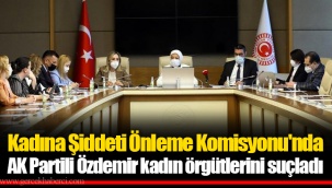 Kadına Şiddeti Önleme Komisyonu'nda AK Partili Özdemir kadın örgütlerini suçladı