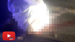 Kan donduran cinayet: 1’i kadın 2 kişi öldürüldü