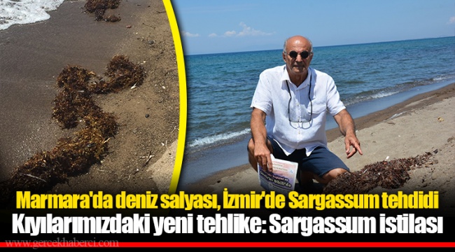 Kıyılarımızdaki yeni tehlike: Sargassum istilası