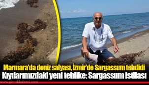 Kıyılarımızdaki yeni tehlike: Sargassum istilası