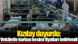 Kızılay duyurdu: Vekâletle kurban kesimi fiyatları belirlendi