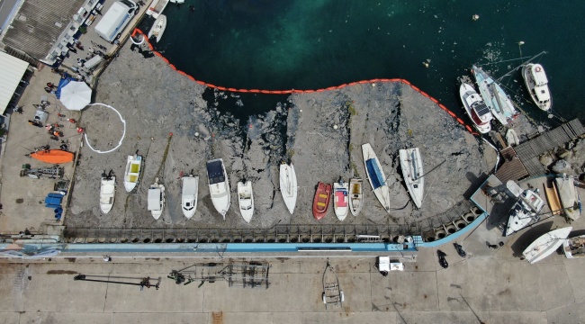 Marmara Denizi'nin tamamına 'Koruma Alanı' teklifi