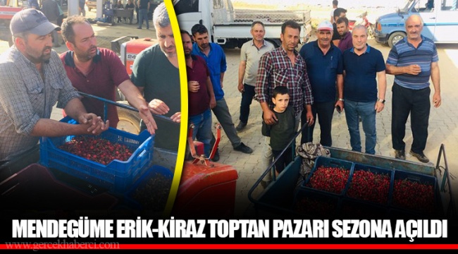 MENDEGÜME ERİK-KİRAZ TOPTAN PAZARI SEZONA AÇILDI