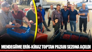 MENDEGÜME ERİK-KİRAZ TOPTAN PAZARI SEZONA AÇILDI