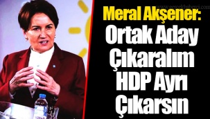 Meral Akşener: Ortak Aday Çıkaralım HDP Ayrı Çıkarsın