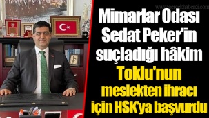 Mimarlar Odası Sedat Peker'in suçladığı hâkim Toklu'nun meslekten ihracı için HSK’ya başvurdu
