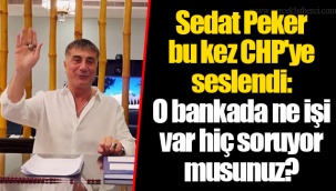 Sedat Peker bu kez CHP'ye seslendi: O bankada ne işi var hiç soruyor musunuz?